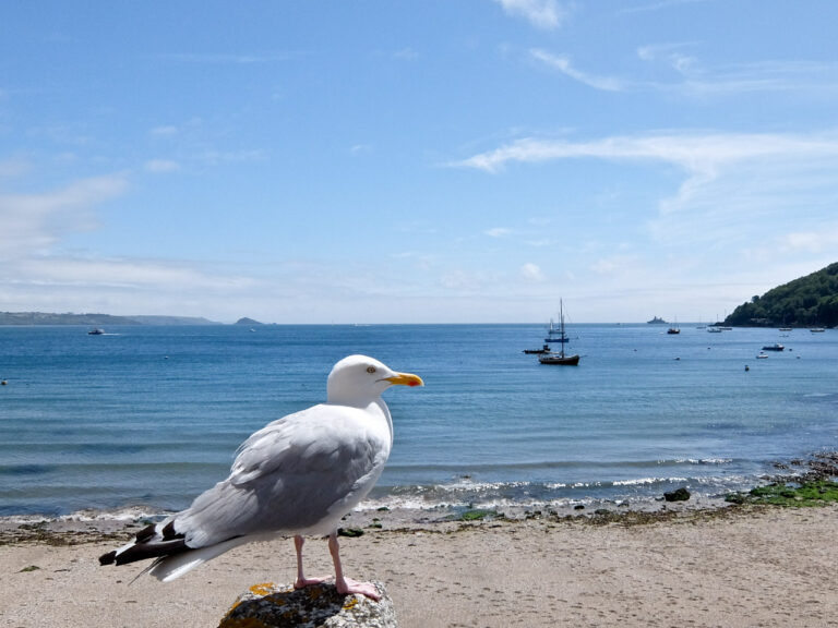 Dutch West Coast Germany: Exploring Emden, Leer & the Watt’n’Fehn Region