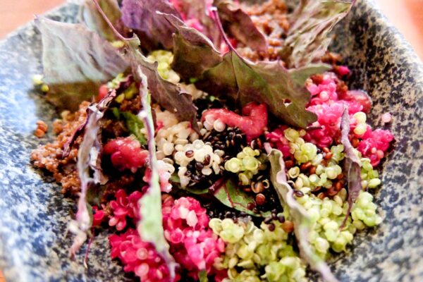 Superfoods of Peru