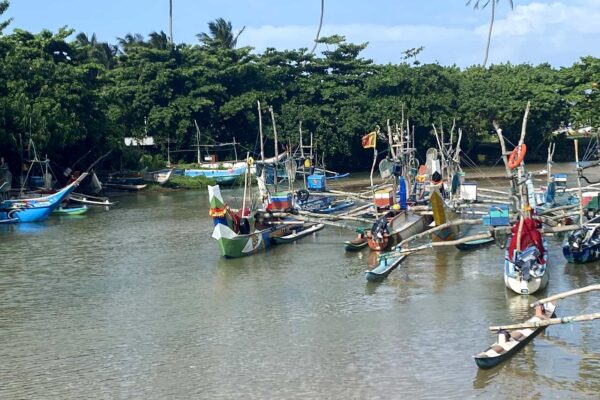 Exploring Sri Lanka’s Central and North Western Provinces – Nature, Culture & Hidden Treasures