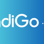 IndiGo airlines aircraft for affordable and convenient air travel